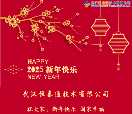 金蛇献瑞，共赢未来|武汉尊龙凯时2025年新春年会开启绚烂新篇章