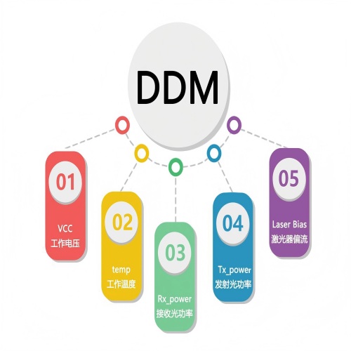 光？镈DM功效详解与应用拓展